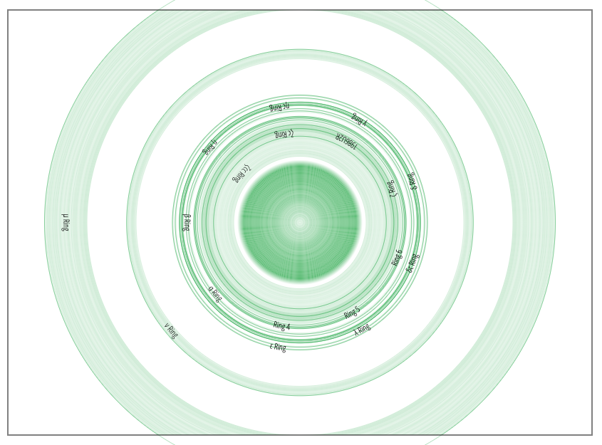 Ring Section