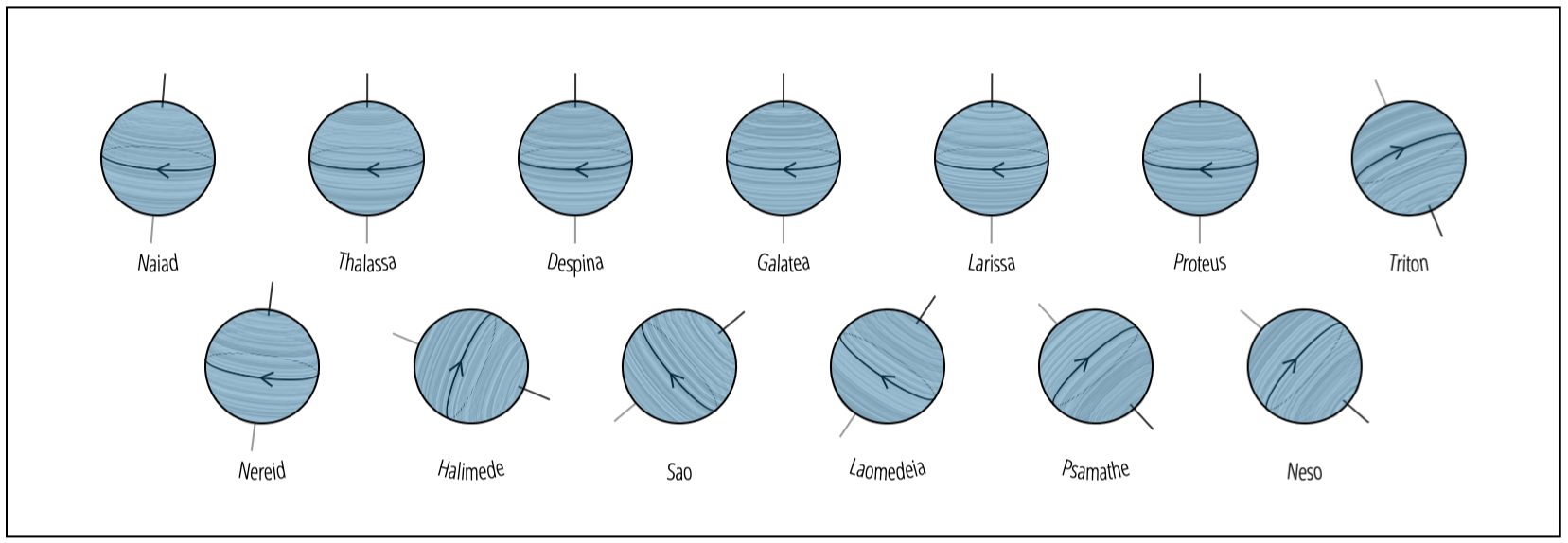 Rotation Section